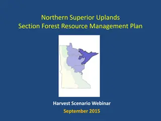 Forest Resource Management Plan in Northern Superior Uplands