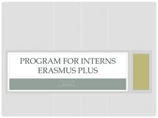 Unlocking Opportunities: Internship Program with F.I.D.E.S.T.E - Connecting Businesses Globally