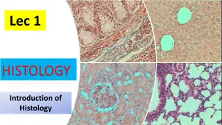 Introduction to Histology and Microscopy in Anatomy