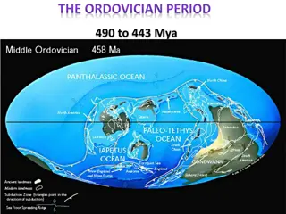 Evolutionary Insights from the Ordovician Period