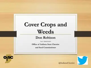 Understanding Cover Crops and Weed Management