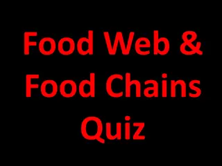 Test Your Knowledge with Food Web and Food Chains Quiz