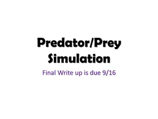 Predator-Prey Relationship Analysis in Natural Environments