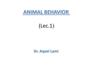 Understanding Animal Behavior and Ecology