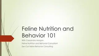 Understanding Feline Nutrition and Behavior: A Journey Through History