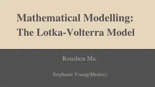 Lotka-Volterra Model in Mathematical Modelling