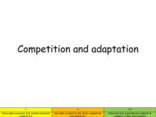 Understanding Competition and Adaptation in Nature