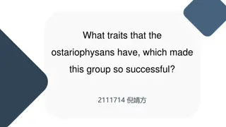 Success Traits of Ostariophysans: Weberian Apparatus and Alarm Response