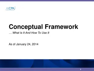 The Conceptual Framework in Professional Judgment