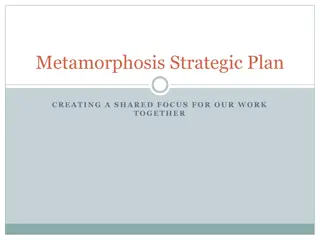 Metamorphosis Strategic Plan Overview