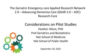 Pilot Studies in Advancing Dementia Care: Core Considerations