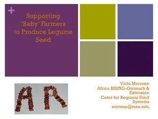 Supporting Baby Farmers in Legume Seed Production