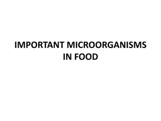 Important Bacterial Groups in Food