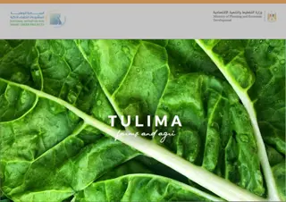 Transforming Tulima Profile A 20 Feddan Farm into a High-Yielding, Climate-Positive Pilot Farm