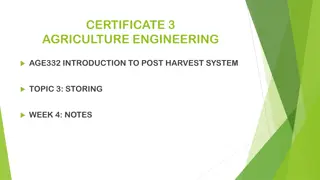 Effective Storing Techniques for Agricultural Produce