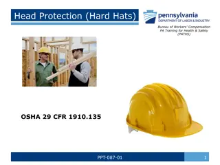 Importance of Head Protection in Workplace Safety Training