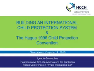 Building an International Child Protection System: The Hague 1996 Convention