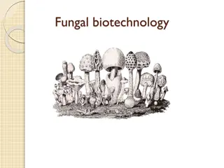 Exploring the World of Fungal Biotechnology