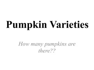 Exploring a Variety of Pumpkin Types