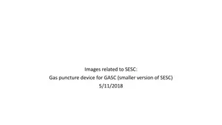 SESC Gas Puncture Device for GASC - Images Collection