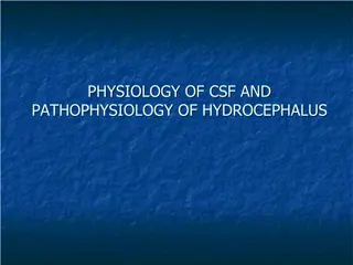 Overview of CSF Physiology and Hydrocephalus Pathophysiology