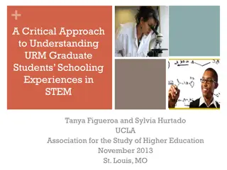 Critical Analysis of URM Graduate Students' Experiences in STEM Programs