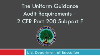 Single Audits in Federal Grant Programs