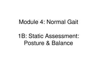 Posture, Balance, and Gait Analysis in Human Movement