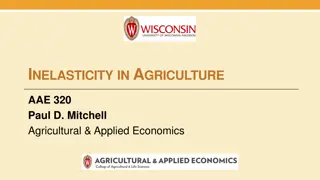 Understanding Inelasticity in Agriculture