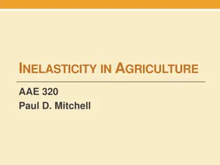 Understanding Inelasticity in Agriculture