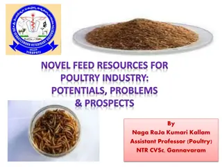 Challenges and Opportunities in Poultry Feed Resources for Indian Industry