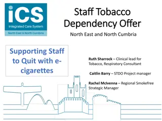 Supporting Staff to Quit Smoking: E-Cigarette Intervention Program Overview