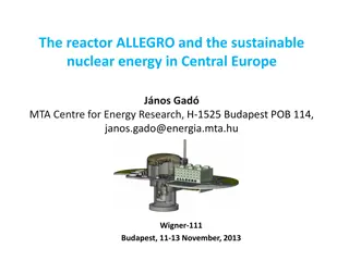 Advancing Sustainable Nuclear Energy in Central Europe with Fast Reactors