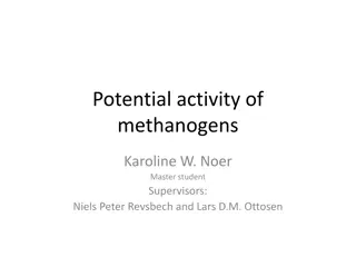 Potential Activity of Methanogens in Anaerobic Digesters Study