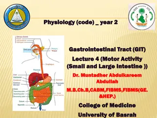 Small Intestine Motor Functions and Control in GIT Physiology