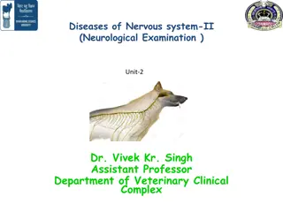 Comprehensive Guide to Neurological Examination in Dogs and Cats