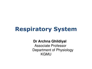 Neural Control of Respiration in the Respiratory System