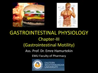 Gastrointestinal Motility: Key Concepts and Mechanisms