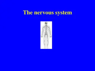 The Nervous System: Functions, Sense Organs, and Reflex Actions