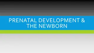 Exploring Prenatal Development and Newborn Reflexes