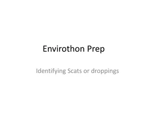 Wildlife Scat Identification Guide for Envirothon Prep