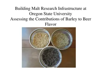 Building Malt Research Infrastructure at Oregon State University: Exploring Barley's Impact on Beer Flavor