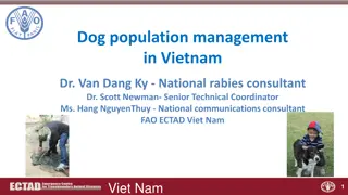 Dog Population Management and Rabies Control in Vietnam