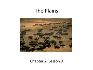 Life and Cultures of the Plains People