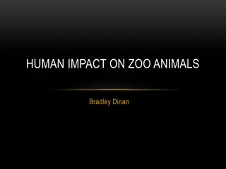 Enhancing Zoo Animal Welfare: Practical Strategies for Positive Human Impact