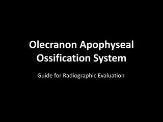 Radiographic Evaluation of Olecranon Apophyseal Ossification System Guide