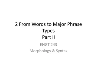 Grammar Structures in Morphology and Syntax