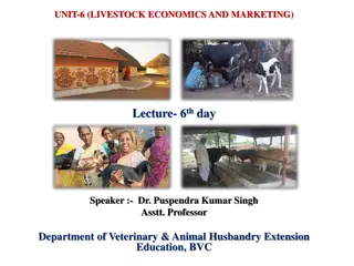 Price Determination in Livestock Economics and Marketing