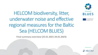 Supporting Marine Environment in the Baltic Sea: HELCOM.BLUES Project Overview