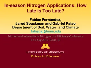 Maximizing Nitrogen Efficiency in In-Season Applications